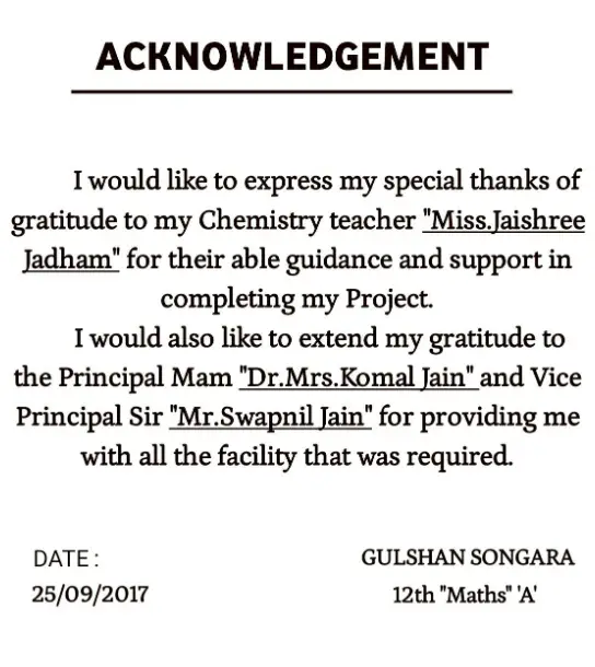 class 12 project acknowledgement
